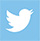 twitter icon